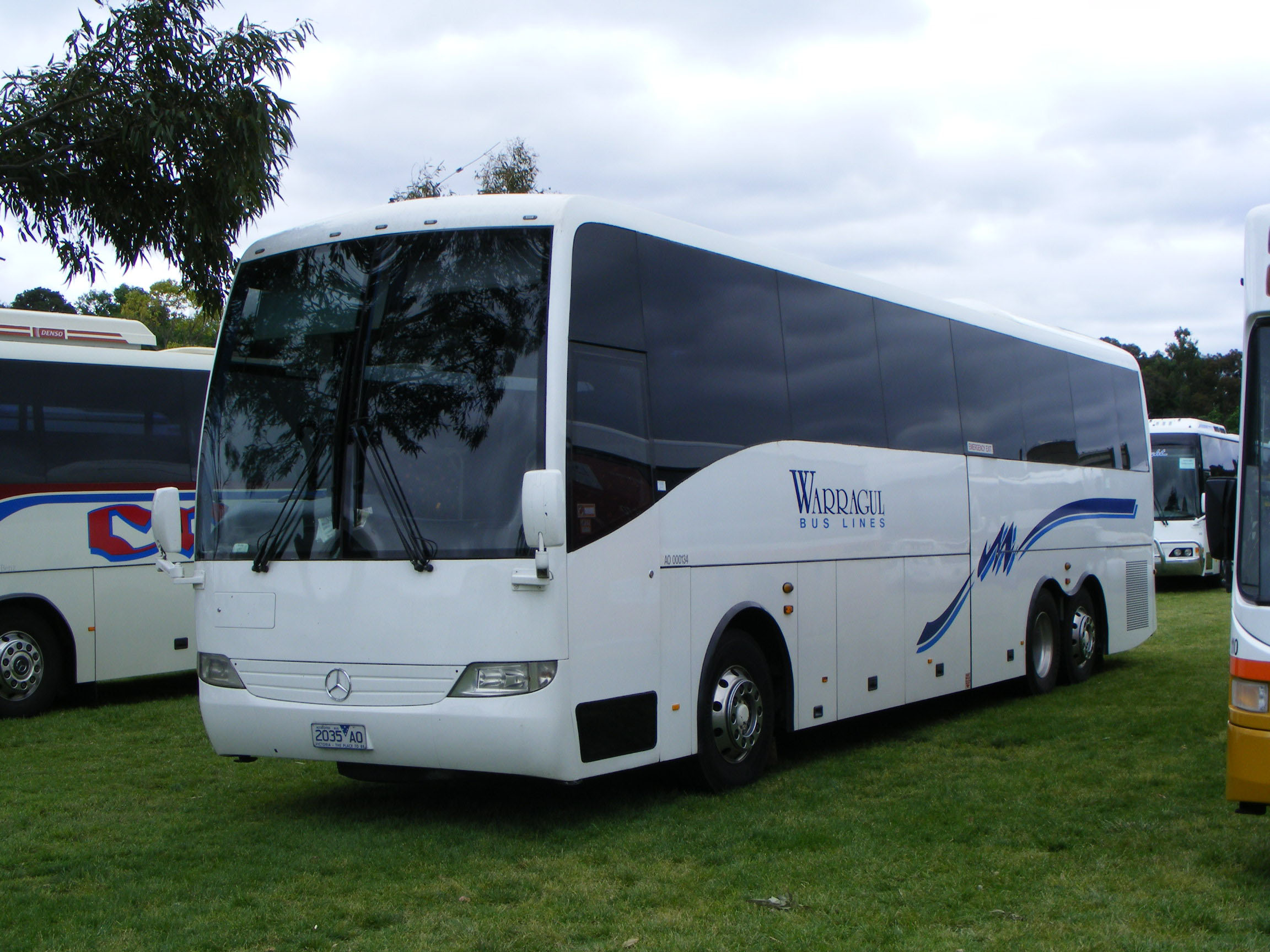 Warragul Bus Lines BUS IMAGE GALLERY